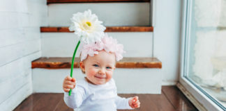 Environmentally Friendly Home Products No Toxic Chemicals