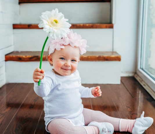 Environmentally Friendly Home Products No Toxic Chemicals