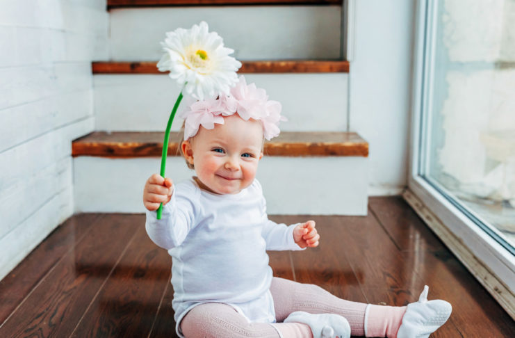 Environmentally Friendly Home Products No Toxic Chemicals