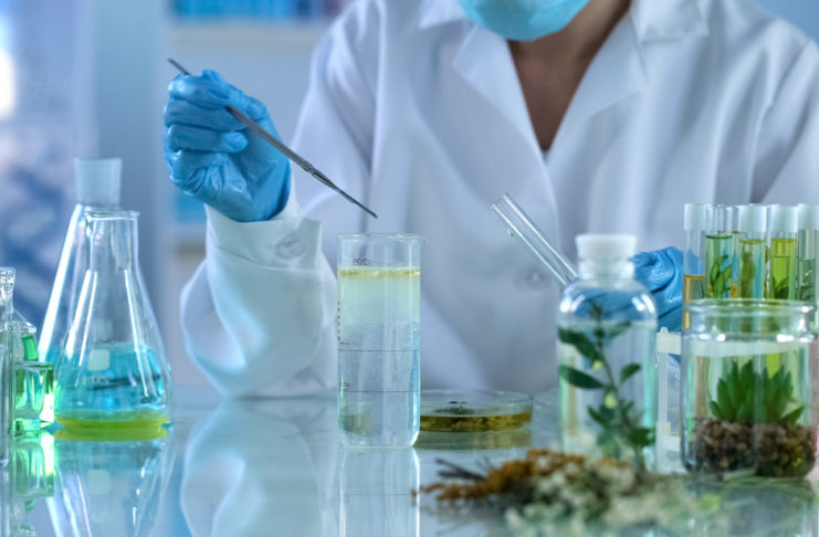 Grace Cosmetics Skin Care Collections